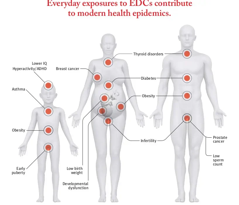 Endocrine disruptors