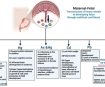 Epigenetics and Heavy Metals