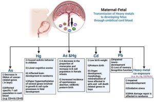 Epigenetics and Heavy Metals
