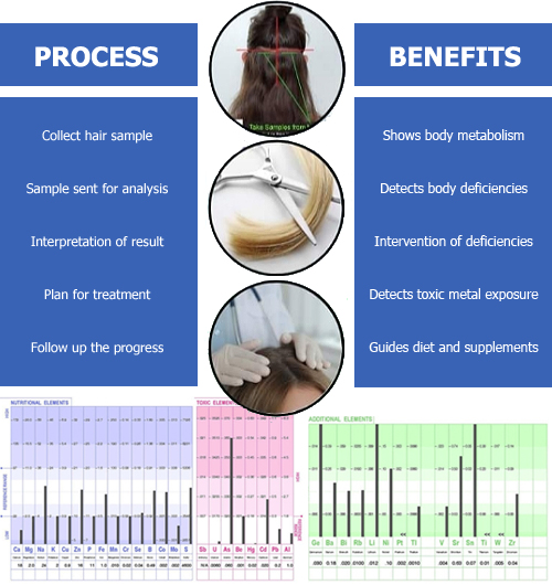 HMD Hair Mineral and Toxic Metals Test