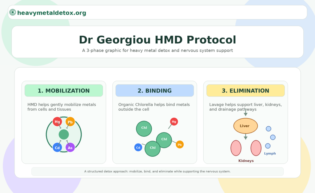 dr-georgiou-hmd-protocol-nervous-system-support